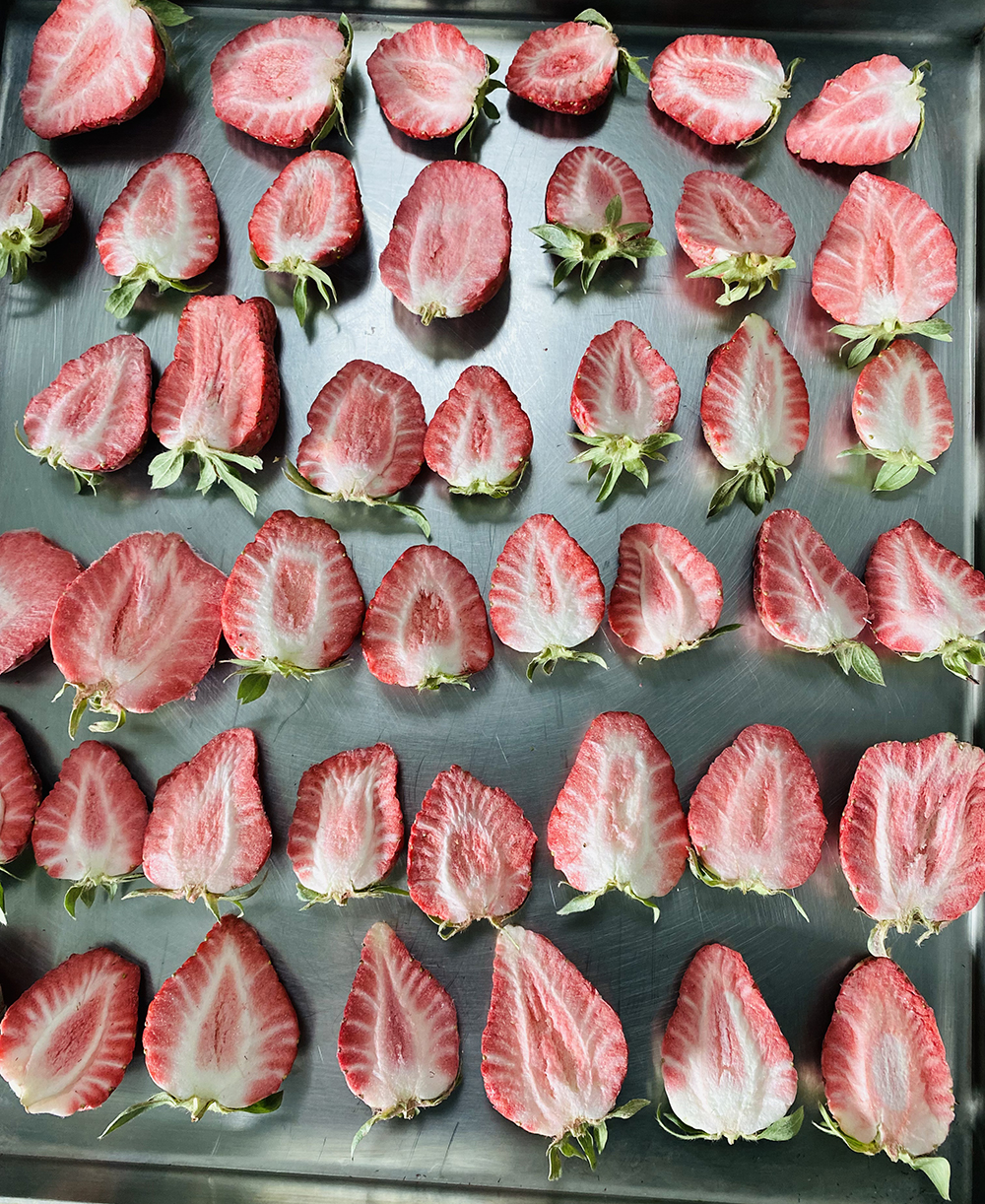 冻干机冻干草莓